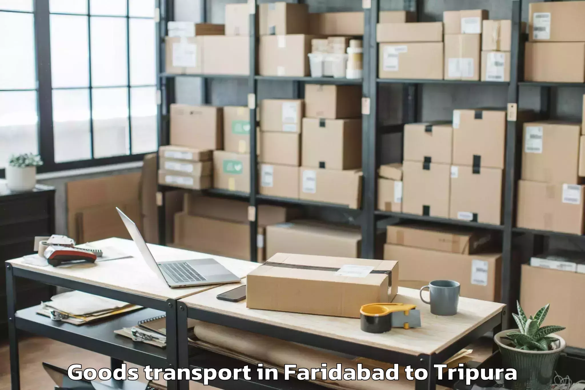 Comprehensive Faridabad to Singerbhil Airport Ixa Goods Transport